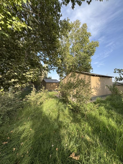 Продаётся Дача в Сырдаринском области