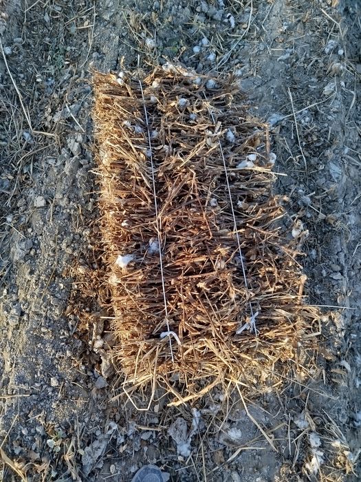 G'o'za poya,hezum,pres,прес