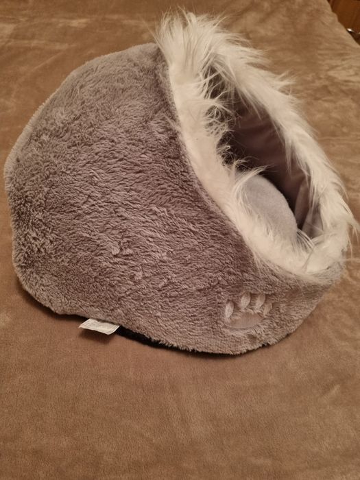 culcus/vizuina pisici