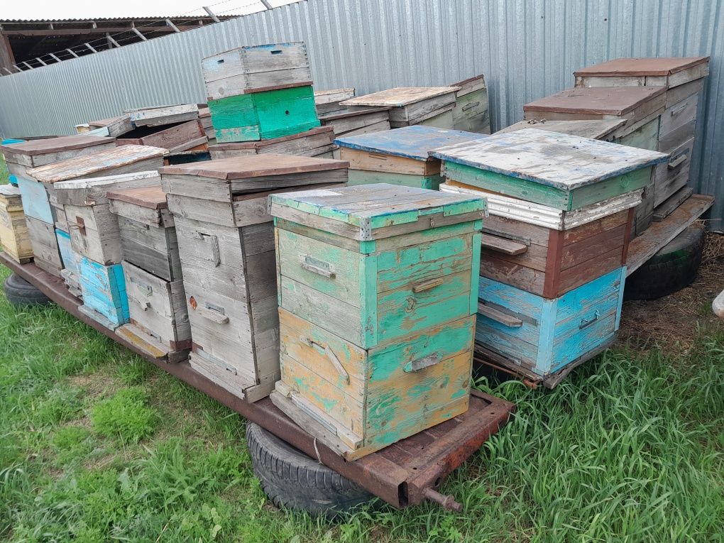 Продам улья для пчел