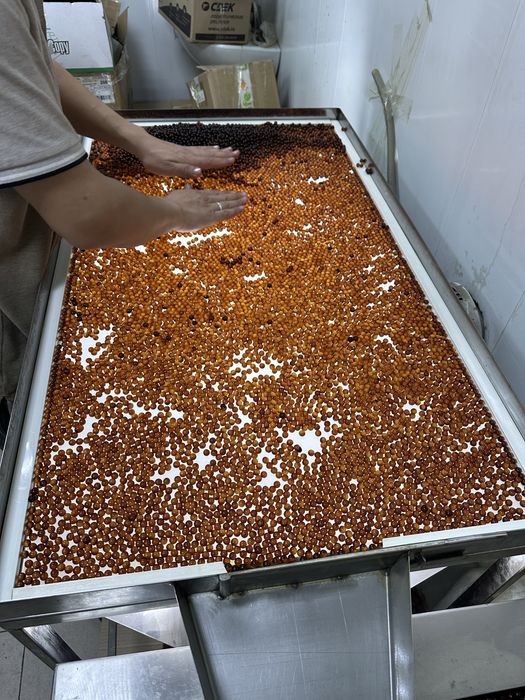 Капсулятор для бесшовных капсул