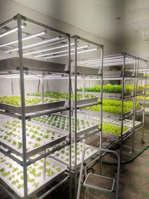 Продам оборудование гидропонную ферму
