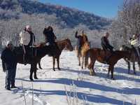 Конный клуб, Катание на лошадях , Конные туры, Конные прогулки в горах