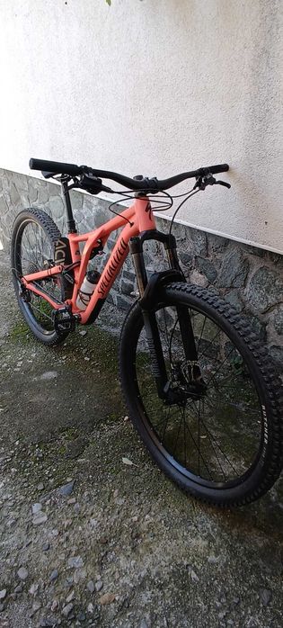 specialized stumpjumper 29