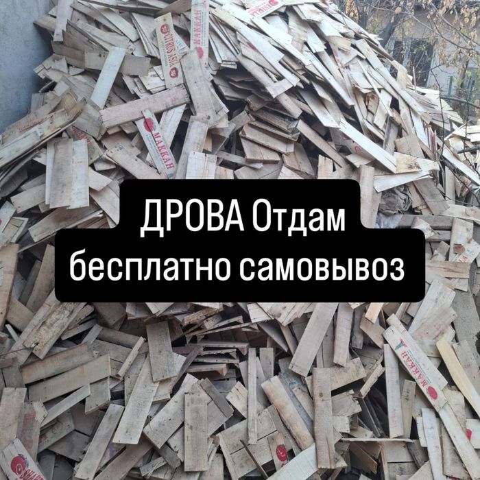 Дрова отдам бесплатно самовывоз