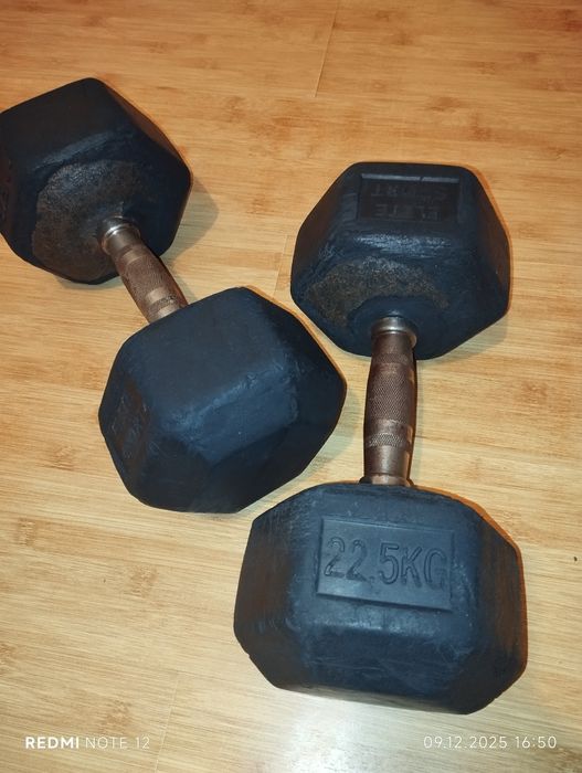 Set două gantere de 22,5 kg
