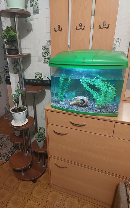 Аквариум 35л рыбками ,корм