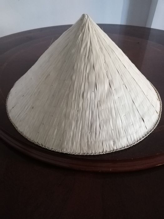 Панама вьетнамская