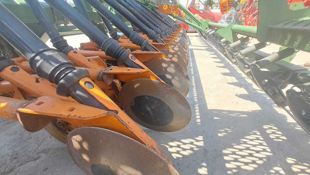 Semanatoare Amazone D9-60