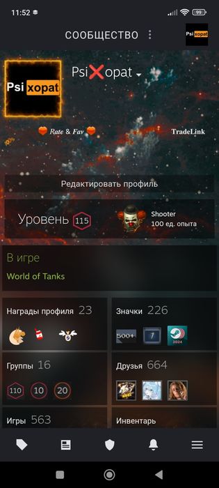 Продам личный Steam аккаунт 115 лвл, более 650 игр , Ведьмак Гта5 Ксго