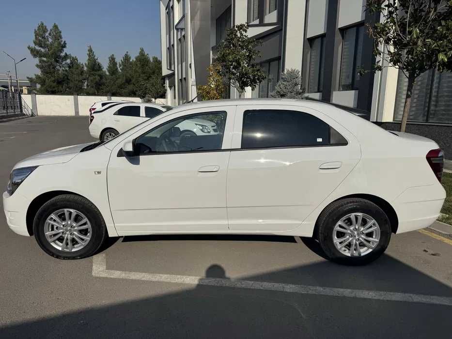 Cobalt style oq rang