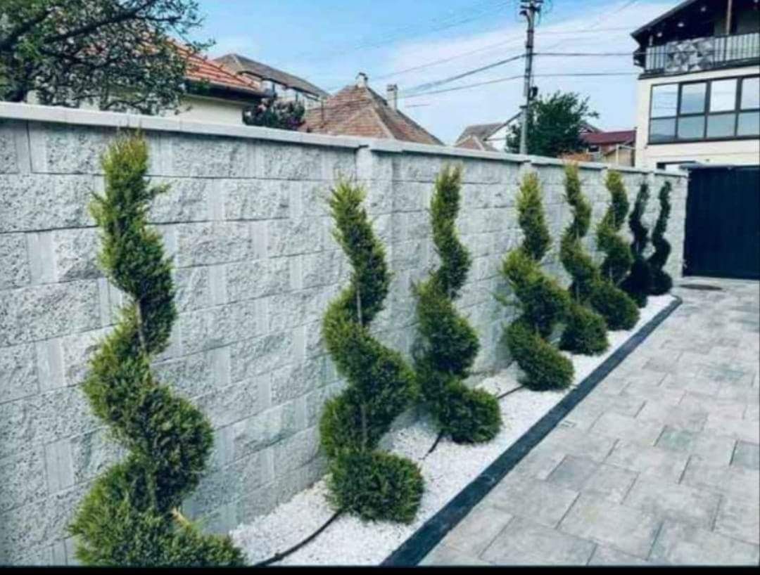 Plante ornamentale și rulou de gazon