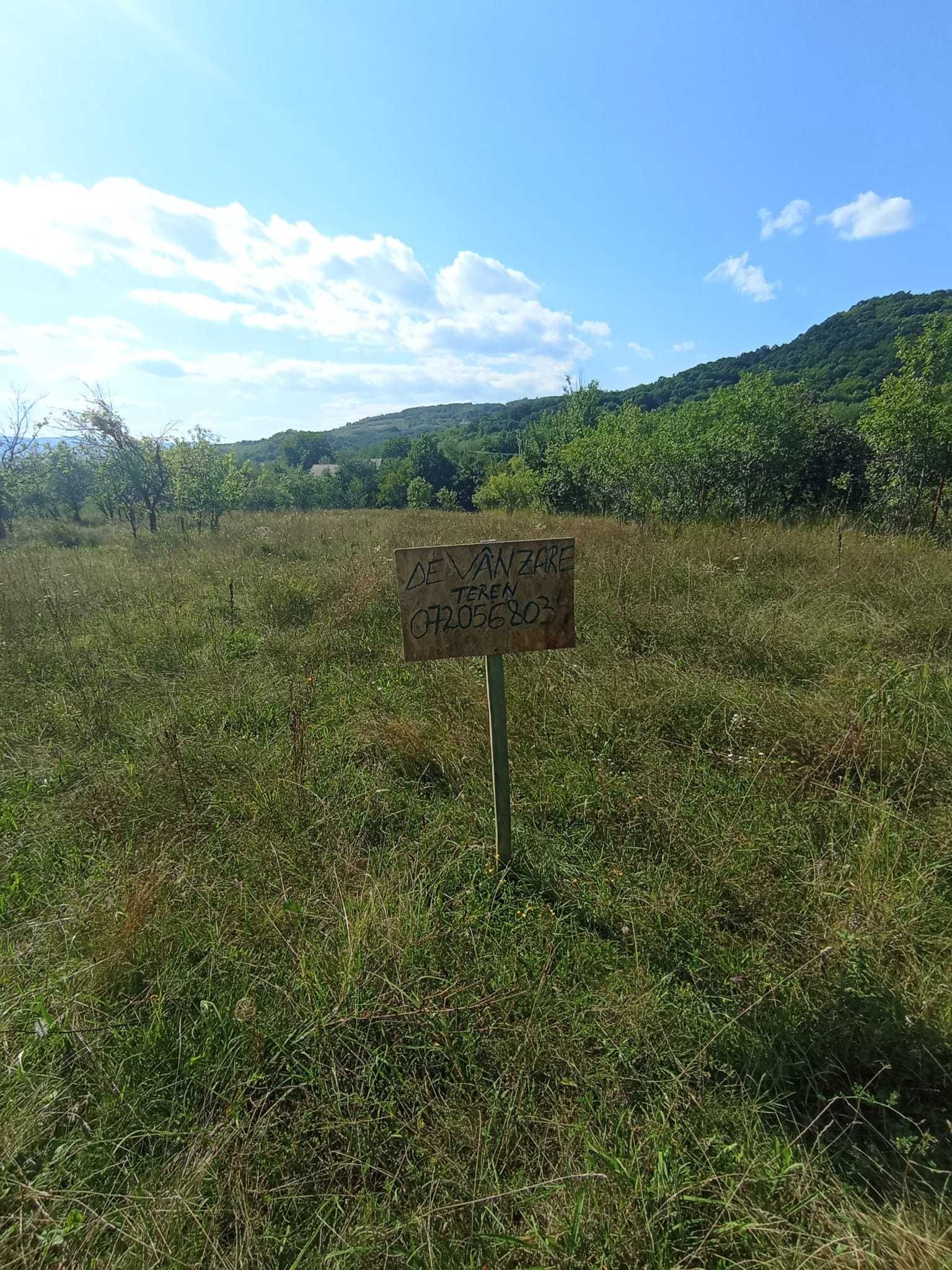 Teren de casa propietar