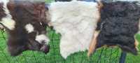 covor carpeta blana naturala capra/ied 60 x 80 cm alb-negru
decoratiun