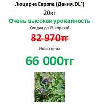Семена люцерны EUROPE 20 кг. DLF (Дания) СУПЕР СКИДКА
