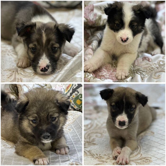 Малышам срочно нужен дом и семья!