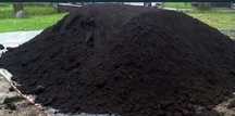 Pamant negru vegetal