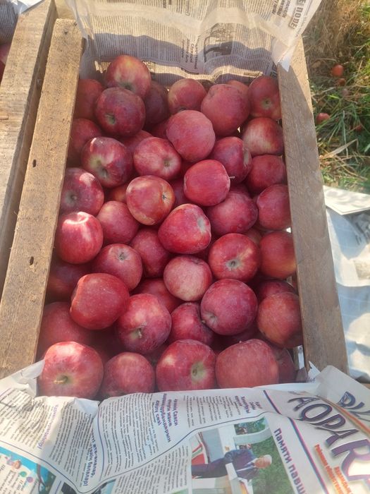 Цена окончательная