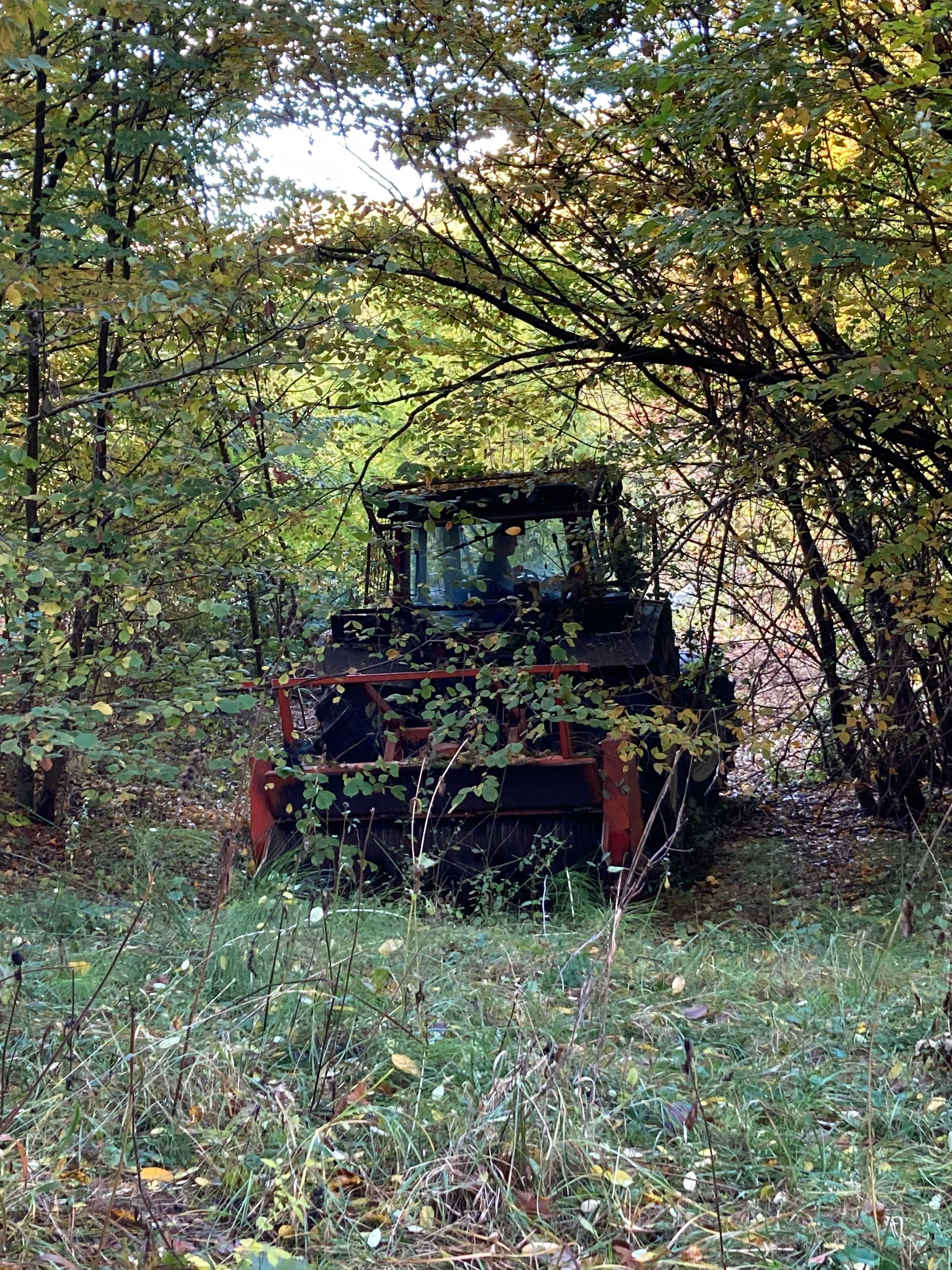 Curatare pasuni si defrisare terenuri de subarboret, arbusti, maracini