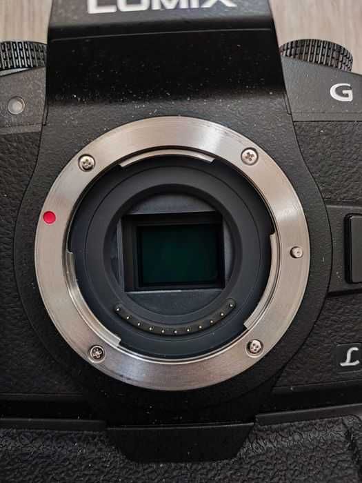 Lumix G80 cu grip