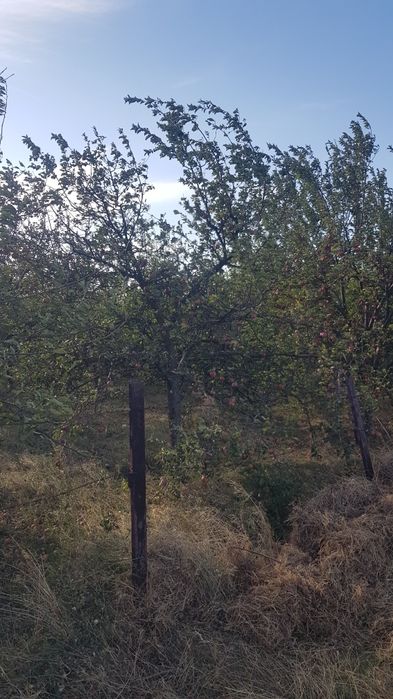 Продава се Земеделски имот в с. Червен брег, Област Кюстендил -  кв.м за 5100 €/дка - Снимка #1