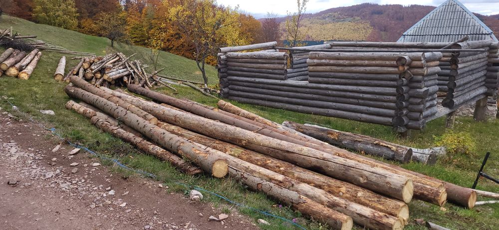 Cabană din buștean rotund, plus coarnele, log house.