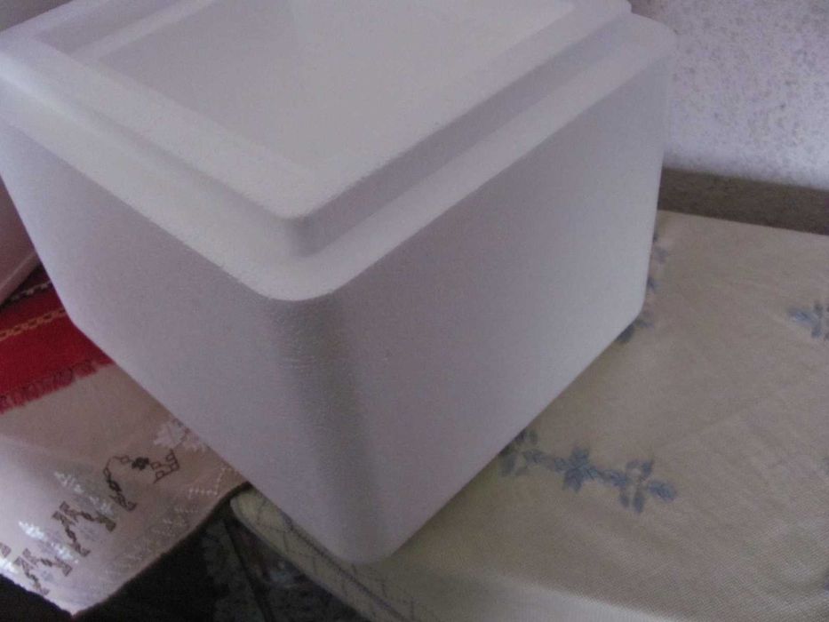 Хладилна чанта или термо кутия