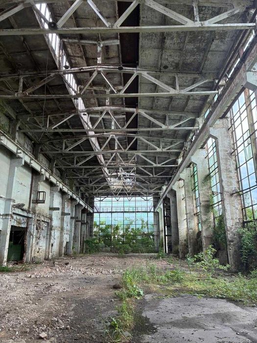 Vand hala cu front la strada principala