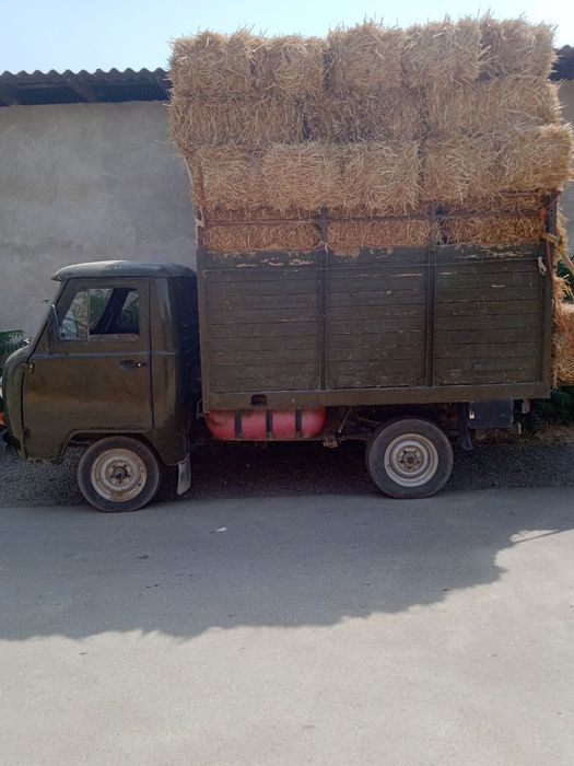 Холати яхши хамма ишлари килиб минишга тайёр холда.