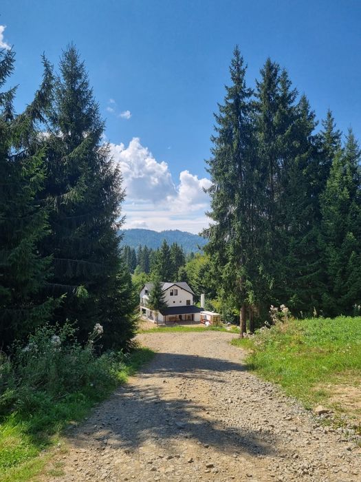 Cabana Colibița de închiriat