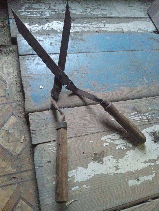 Секатор ножницы  сада