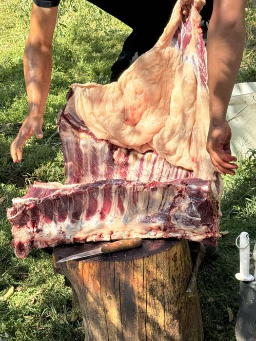 Жылқы ет жілік .