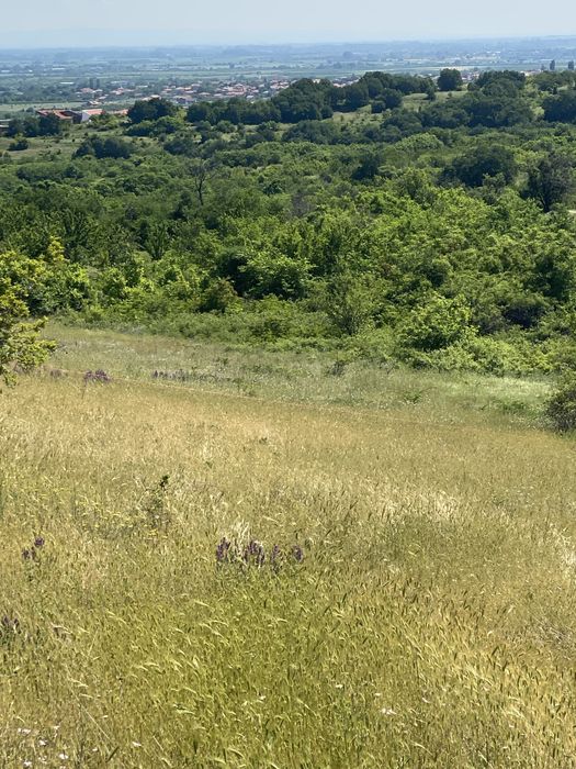 Земеделска земя Белащица/Марково