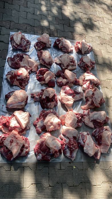 Qoʻylar Qoy sotiladi