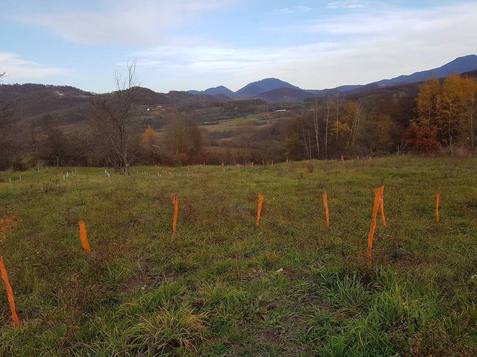 Teren pentru Casa de Vacanță