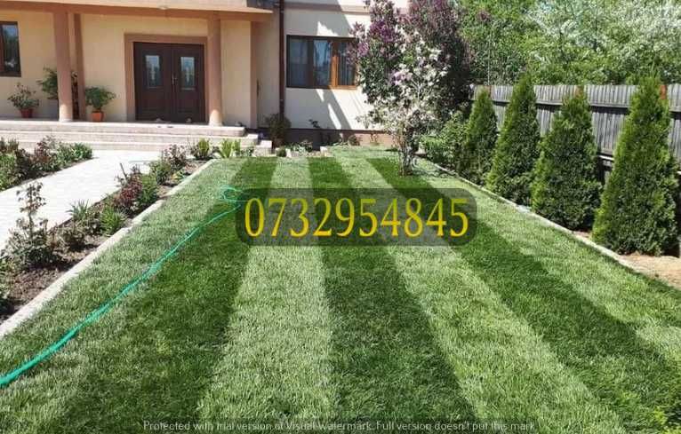 Gazon Englezesc Premium – Verde Intens Tot Anul
