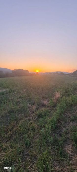 Teren extravilan 6883mp Odobesti