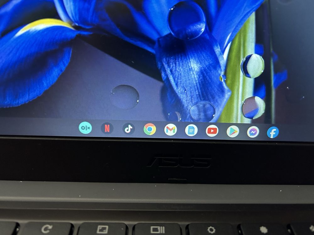 Laptop chromebook