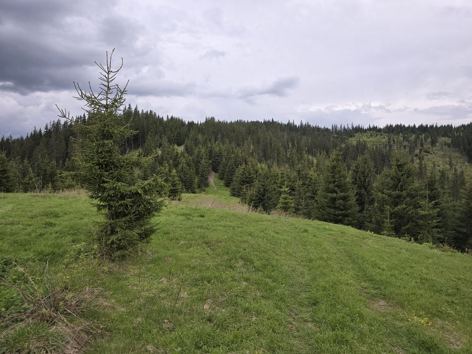 Teren extravilan 164900 MP