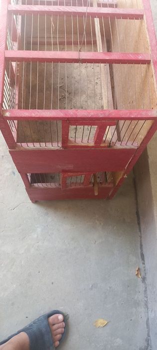 Кушлар учун кафас