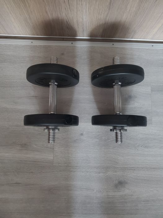 Set gantere reglabile 20 kg cu discuri din ciment Gorilla Sports