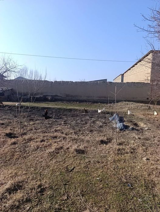 Жума шахрида 10 сотихли ховли сотилади