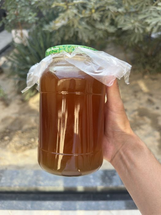 Asal toza tog'niki mayski