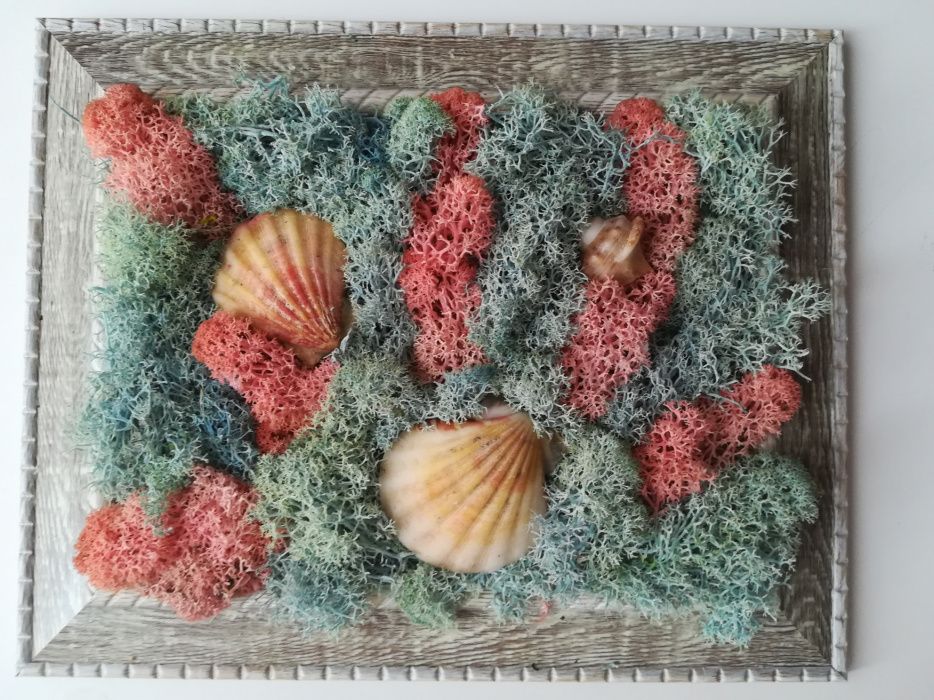 Perete/tablou natural licheni