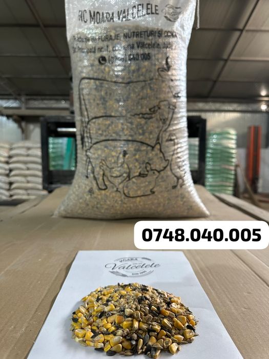 Porumb, Urluiala, Amestec boabe, Mazare, Spartura, Cereale ambalate