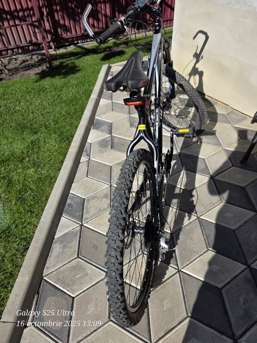 Specialized Stumpjumper M 24