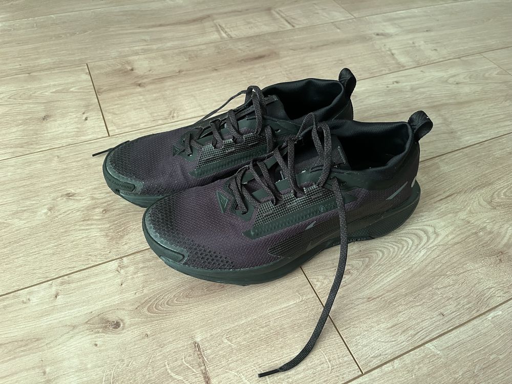 Nike Pegasus Trail 5 GTX