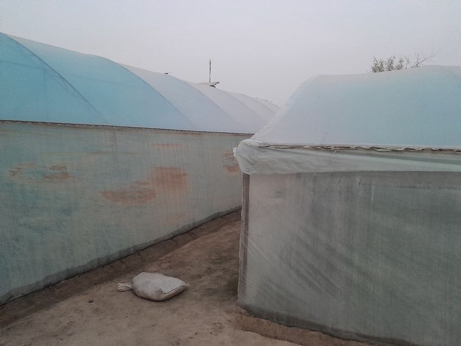 Уй сотилади 8 сотих