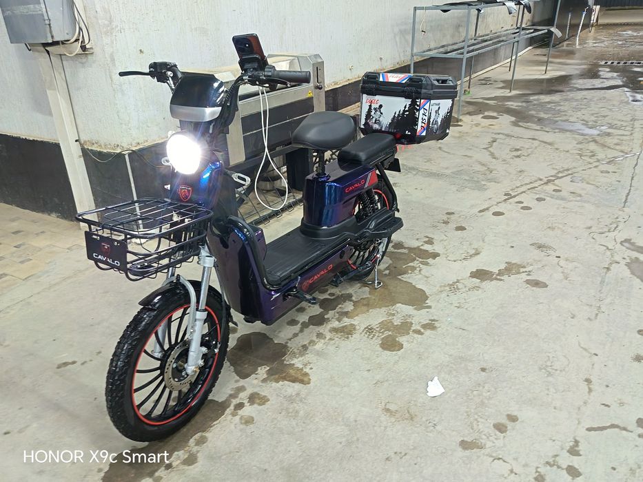 Skuter cavalo kompaniyasi