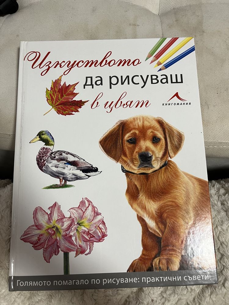 Енциклопедии за изкуството